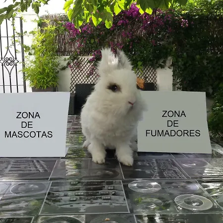 Ideal Para Grupos! Descubre Σπίτι διακοπών Γρανάδα