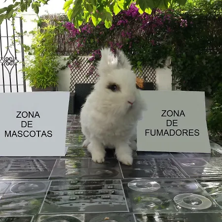 Ideal Para Grupos! Descubre Hébergement de vacances Grenade